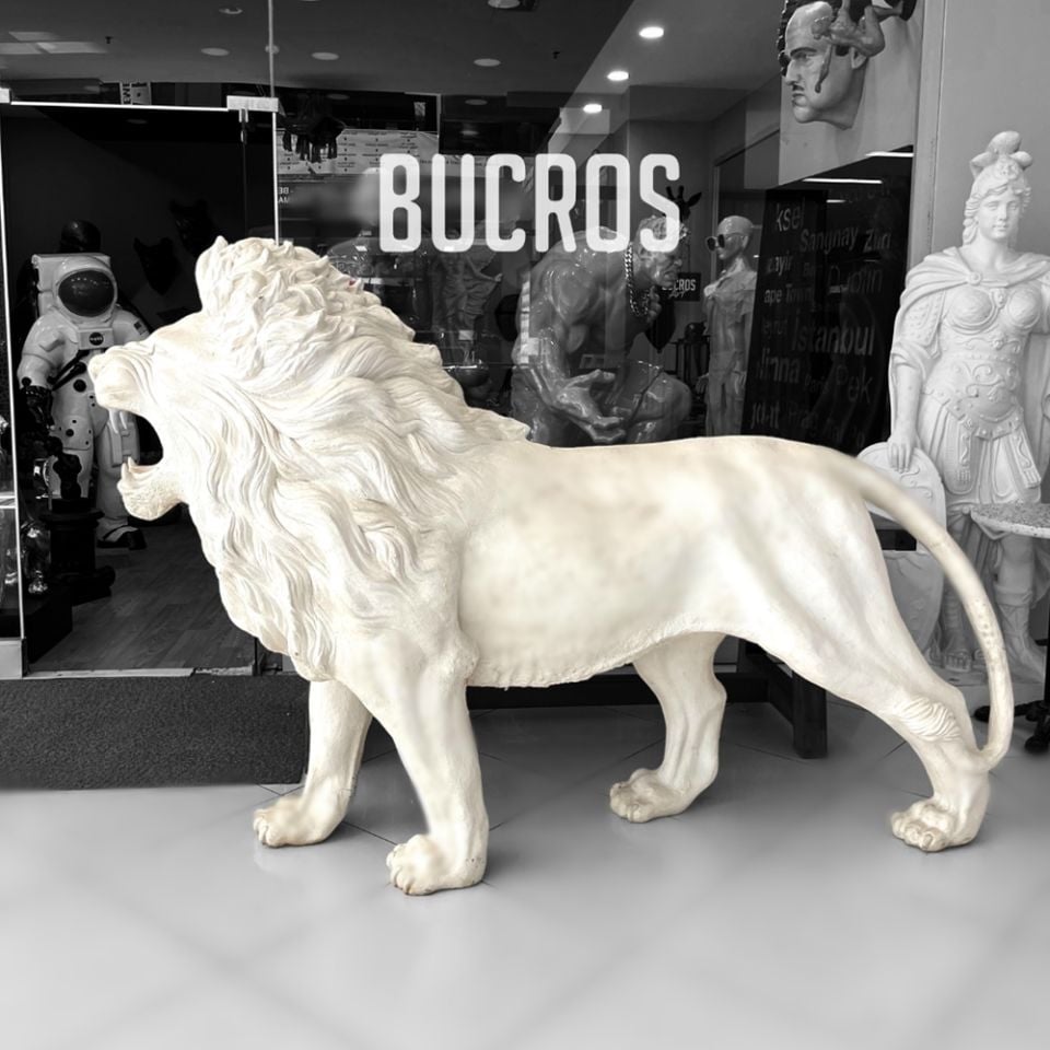 Bahçe Aslanı Dev Boyut Özel Tasarım