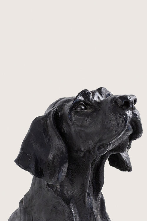 Dekoratif Av Köpeği 90 cm